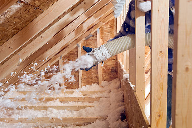 Reliable Winter Garden, FL Insulation Removal & Installation Solutions